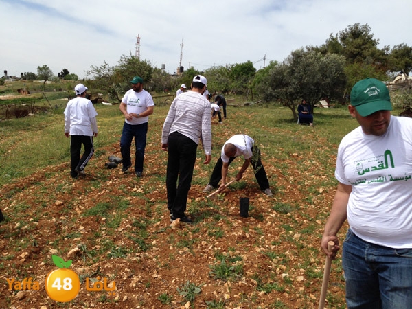 ludandyaffazaitoon (16).JPG